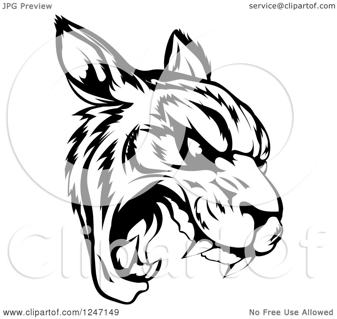 1080x1024 Clipart Of A Black And White Roaring Tiger Mascot Head