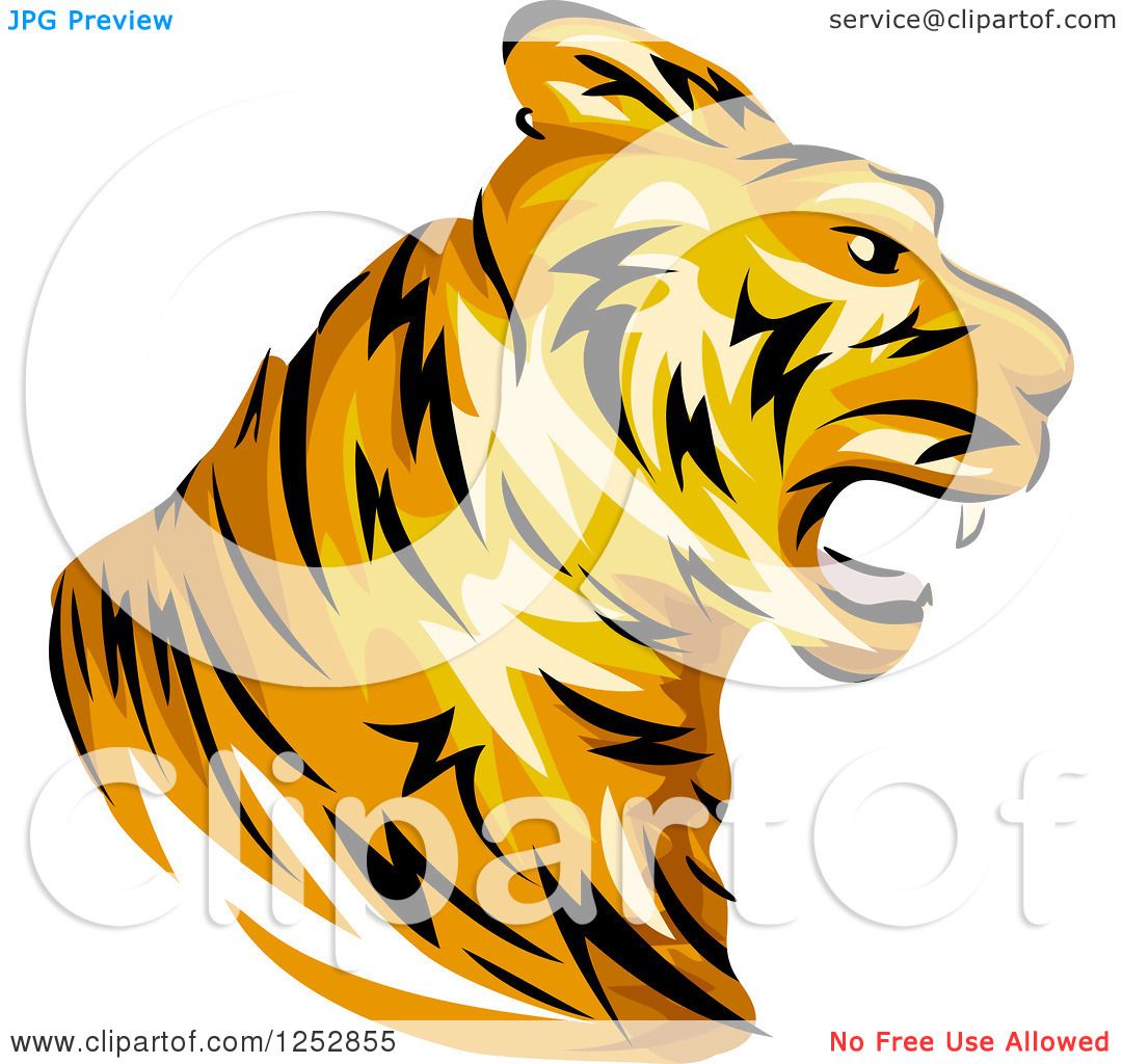 1080x1024 Clipart Of A Roaring Tiger Head In Profile