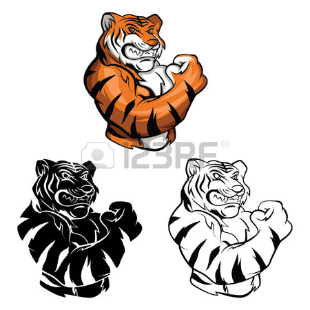 450x450 446 Tiger Head Outline Cliparts, Stock Vector And Royalty Free
