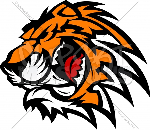 590x511 Tiger Head Design Clipart Vector Graphic