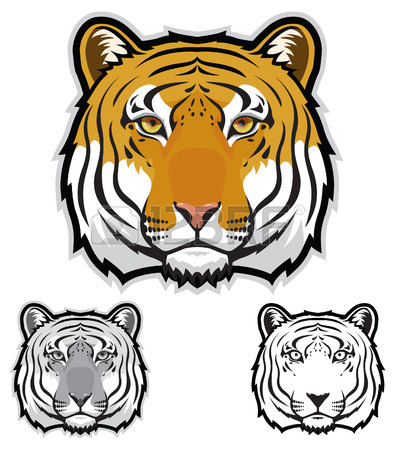 395x450 73 Sumatran Tiger Stock Vector Illustration And Royalty Free