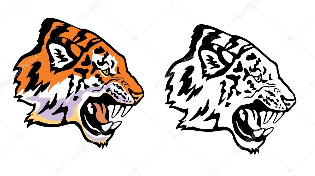 1022x572 Tiger Head Profile Clipart