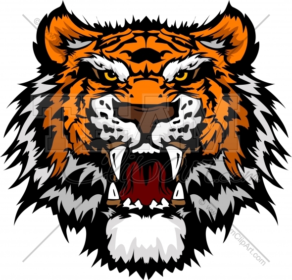 590x565 Tigres Clipart Tiger Face
