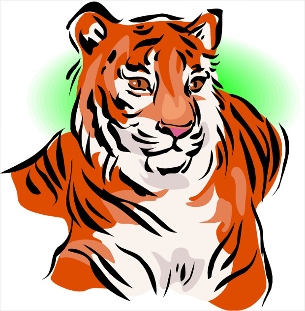 620x634 Top 88 Tiger Clipart