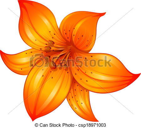 450x409 Flower Clipart Tiger Lily