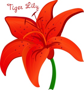 281x300 Tiger Lily Clipart Image