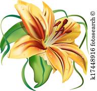 191x179 Tiger Lily Clipart And Illustration. 137 Tiger Lily Clip Art