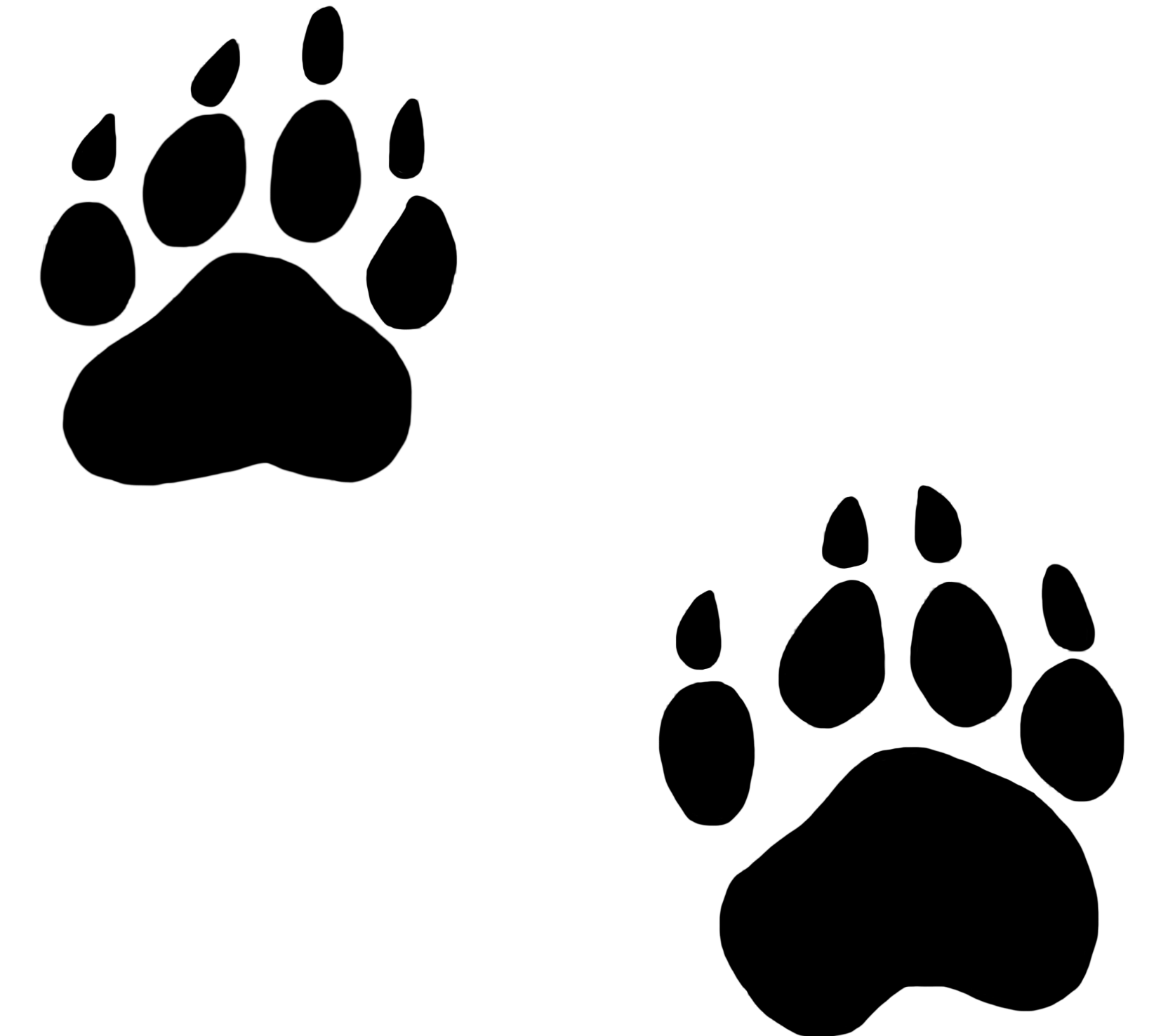 1654x1476 Startling Tiger Paw Print Clip Art Free Prints Clipart