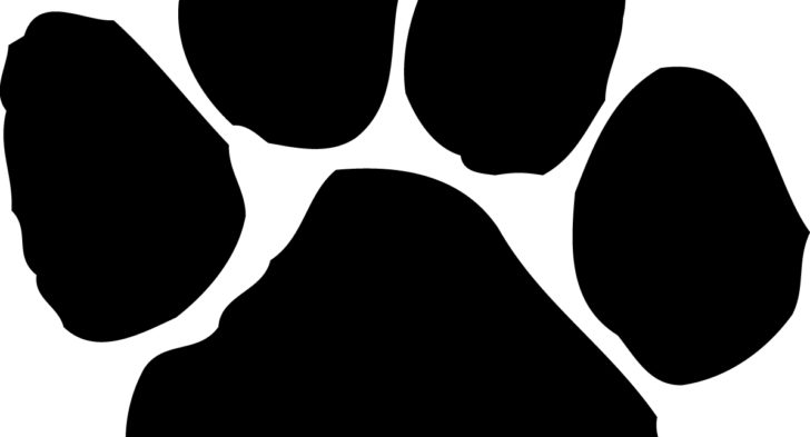 Tiger Paw Print Clipart