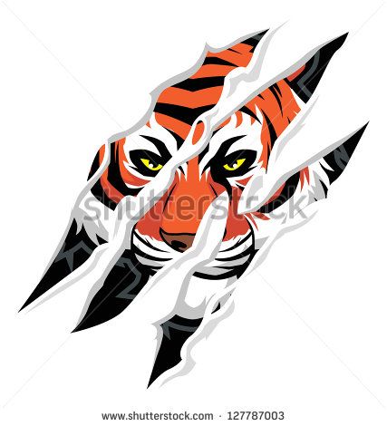427x470 110 Best Cougar Logos Images Football Mums