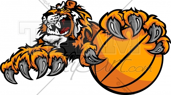 590x329 Tiger Basketball Clipart Vector Image