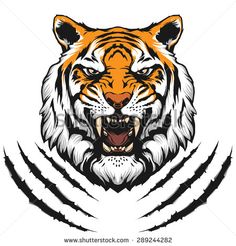 236x246 Tiger Claw Mark Vector 1264301