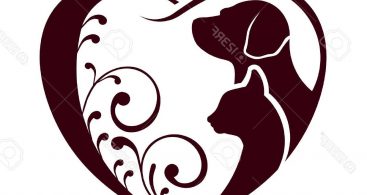 367x195 Best Infographics Design Timeline Vector Photos Free Vector Art