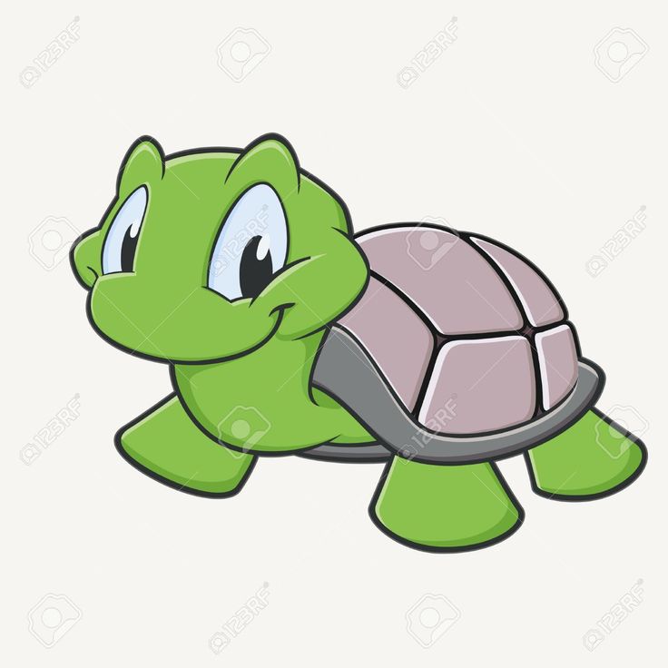 736x736 Turtle Clipart Tiny