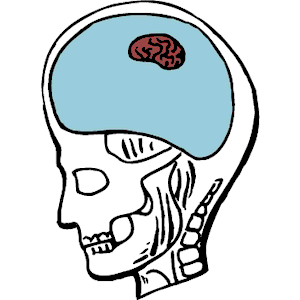 300x300 Brain