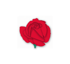 297x270 Rose Clipart Small