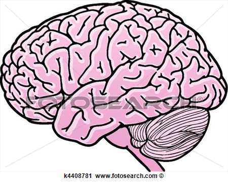 450x361 Body Tissue Clipart