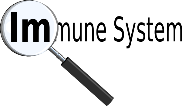600x348 Immune System Title With Magnifying Glass Clip Art