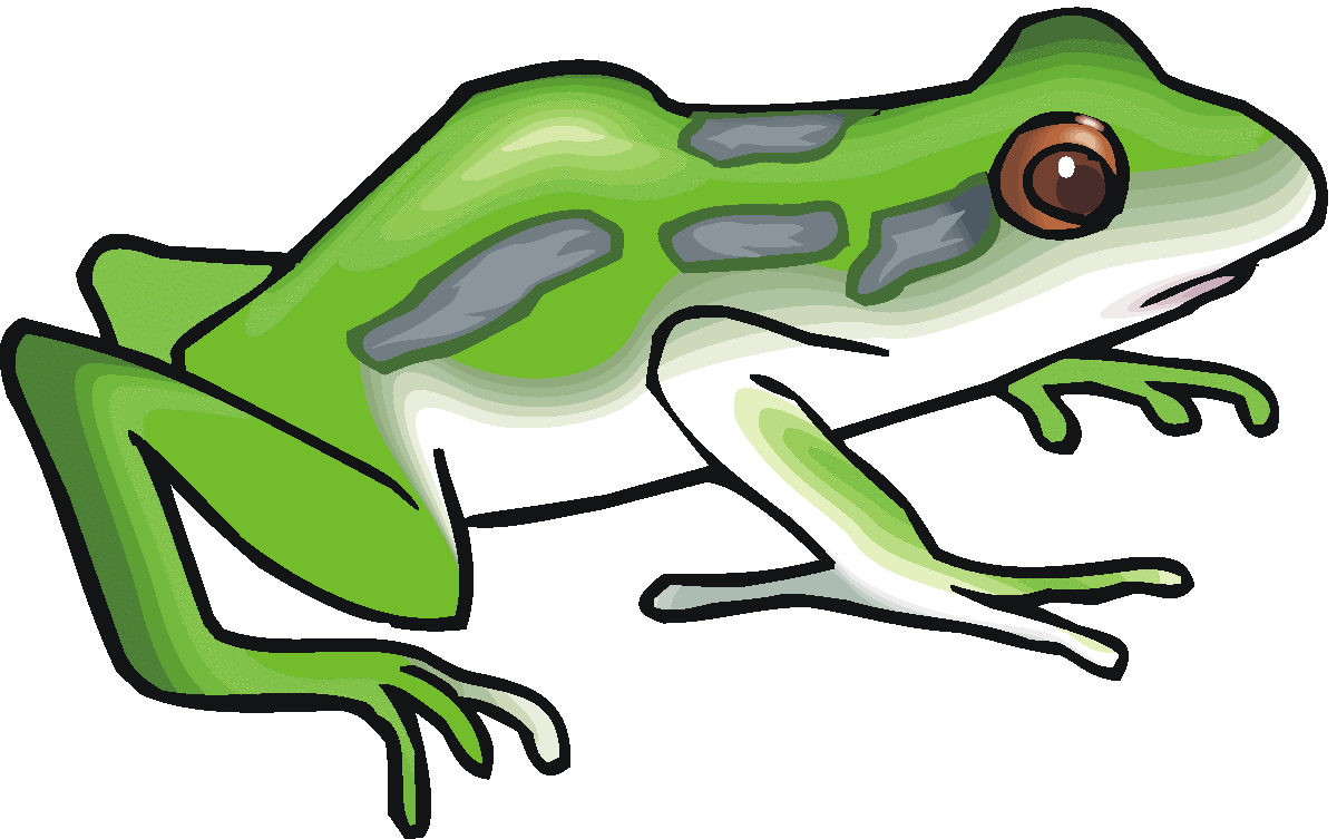 1200x753 Toad Clipart