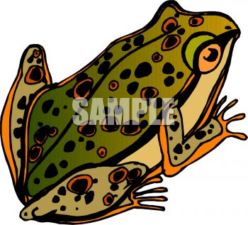 350x317 Top 90 Toad Clipart