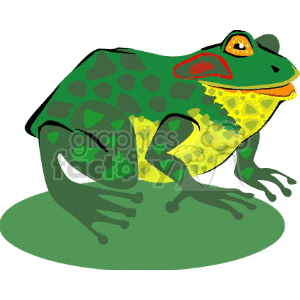 300x300 Royalty Free Load Toad With Yellow Under Belly 129873 Vector Clip