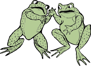 300x219 Two Frogs Clip Art