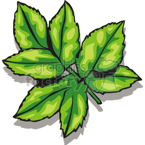 300x300 Royalty Free Leaves 151689 Vector Clip Art Image