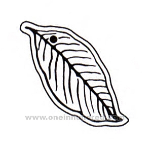 300x300 Tobacco Leaf Clipart