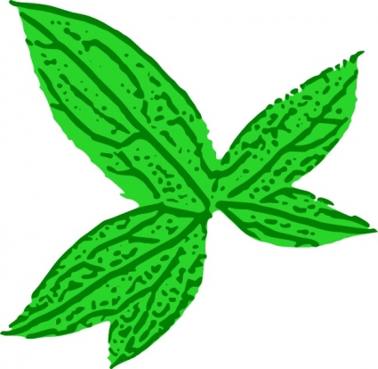 425x414 Tobacco Leaves Clipart