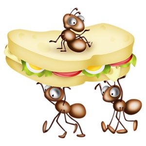 300x300 388 Best ~ Food Clip Art Amp Illustration ~ Images