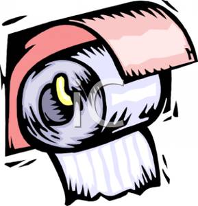 289x300 Roll Of Toilet Paper In A Wall Holder