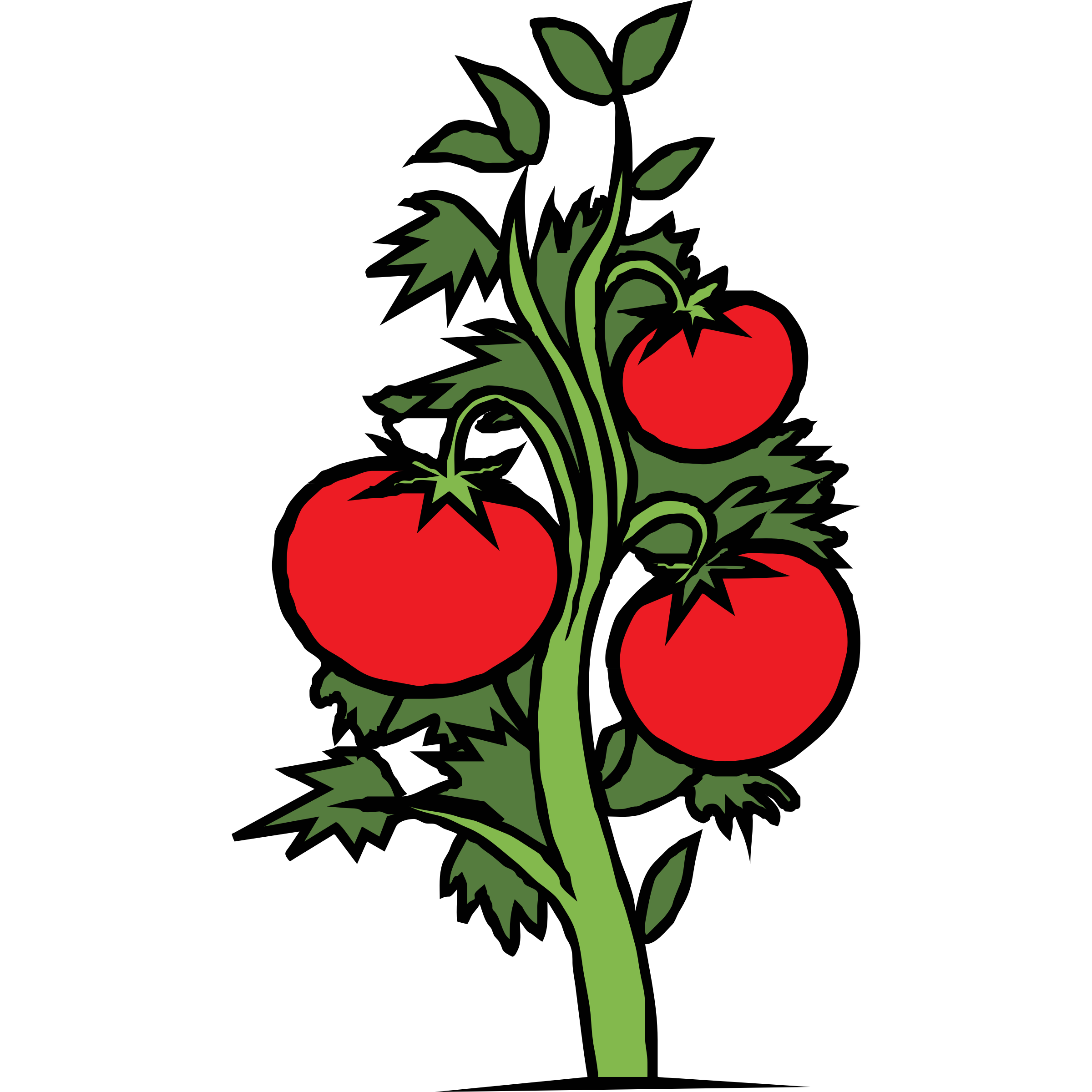 2400x2400 Tomato Plant Clip Art Clipartfest