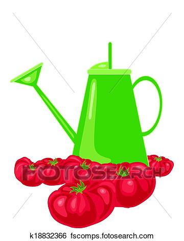 360x470 Clip Art Of Tomato Background K18832366
