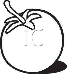 273x300 Picture Black And White Tomato