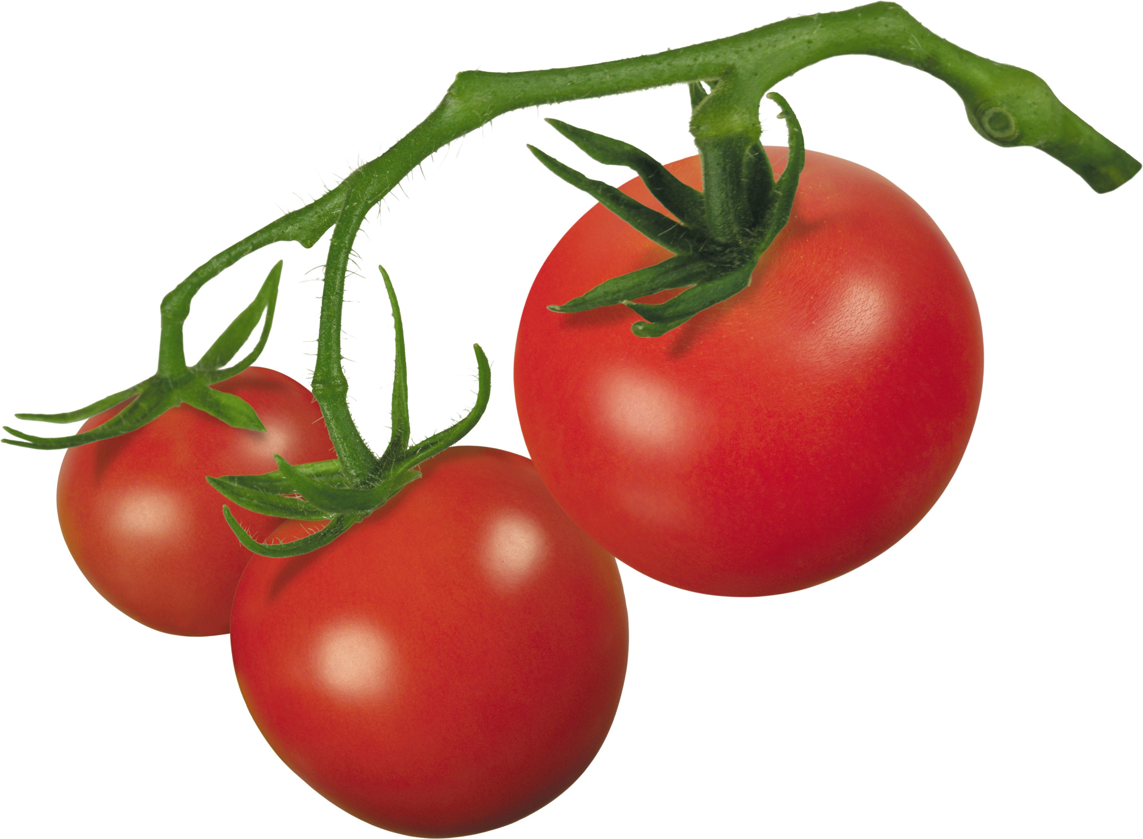 3841x2819 Tomato Clipart
