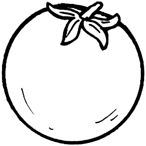 480x478 Tomato Clipart Outline