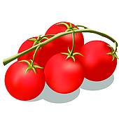 170x170 Tomato Branch Clip Art