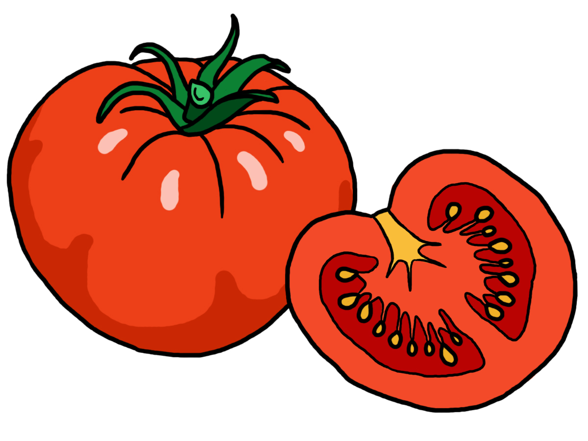 1200x900 Tomato Clipart Tomatoe