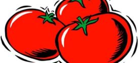 272x125 Tomatoes Clip Art Free Clipart Panda