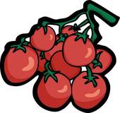 170x160 Cherry Tomatoes Clip Art