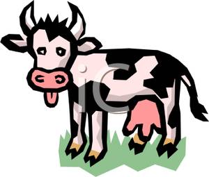 300x255 Dairy Cow Sticking Its Tongue Out Clip Art Image