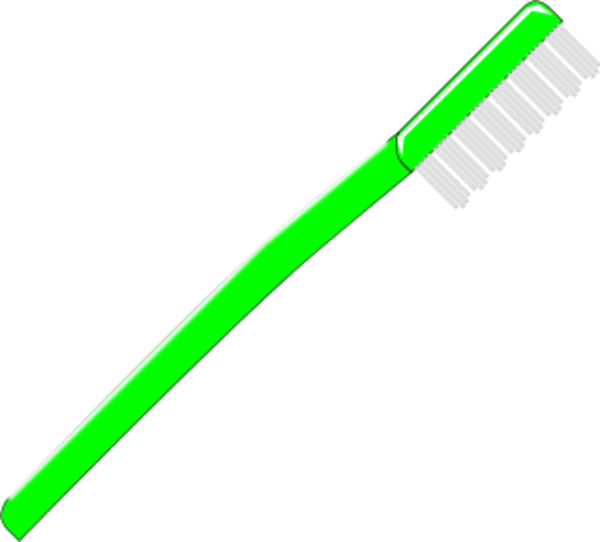 600x542 Toothbrush Vector Clip Art