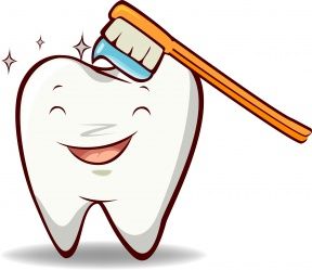 288x249 Best Brush Teeth Clipart Ideas Tooth Clipart