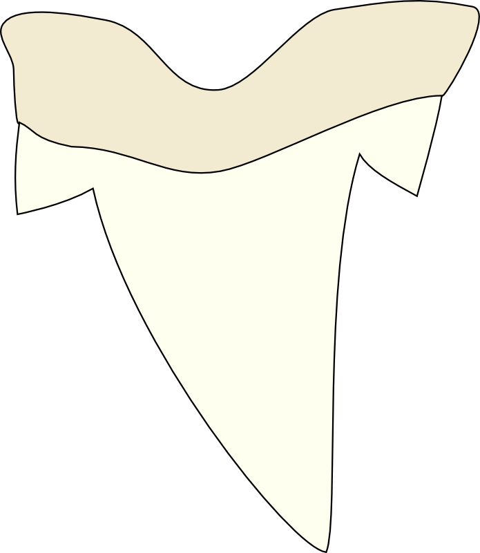 695x800 Tooth Clip Art