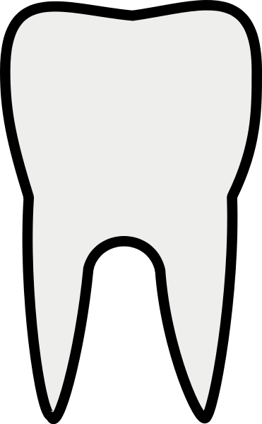 371x600 Tooth Clip Art Vector Clipart Panda