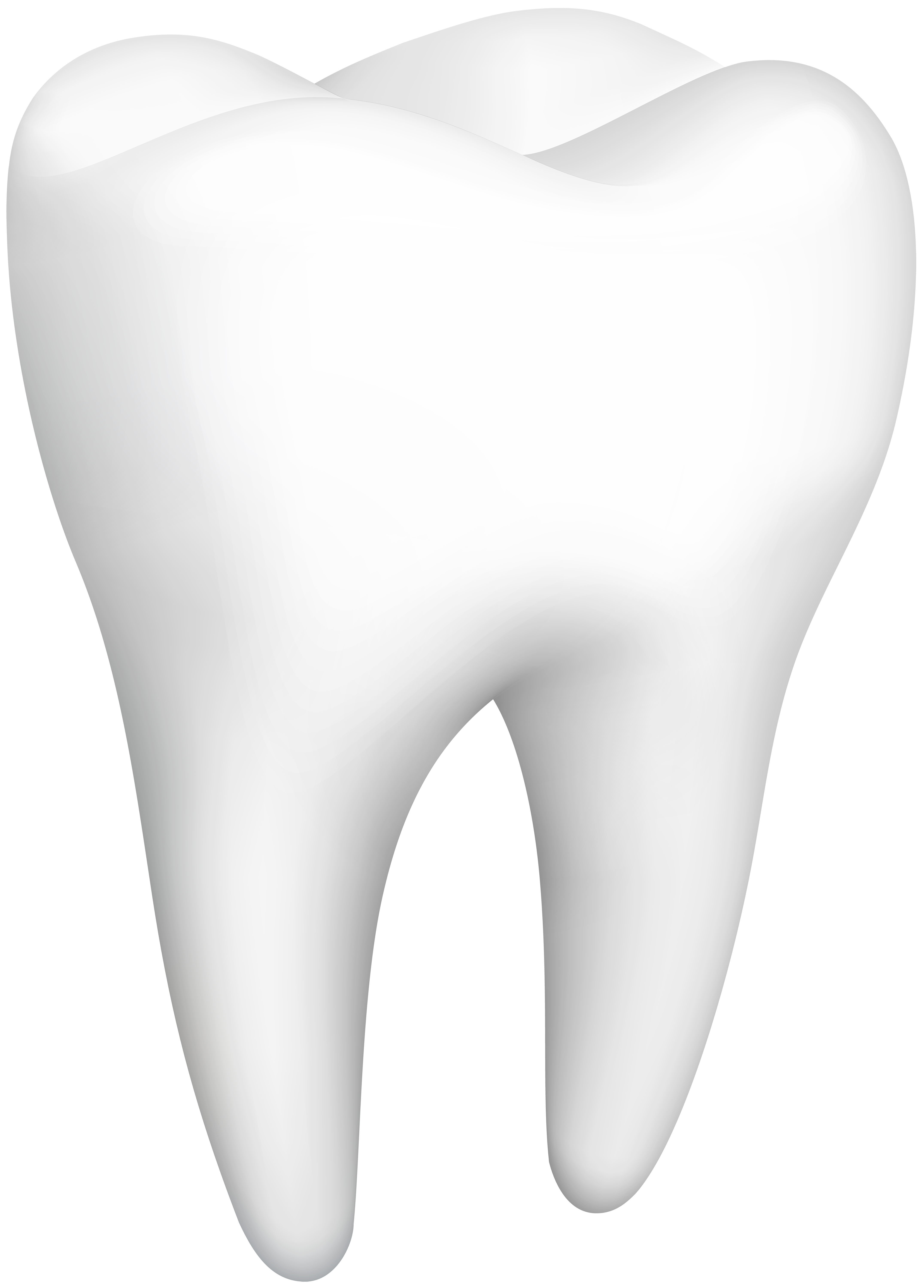 4305x6000 Tooth Png Clip Art