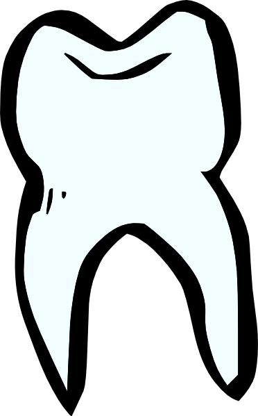 372x599 Tooth Clip Art
