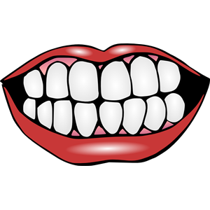 300x300 Clipart Teeth