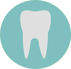 299x291 Tooth Clip Art