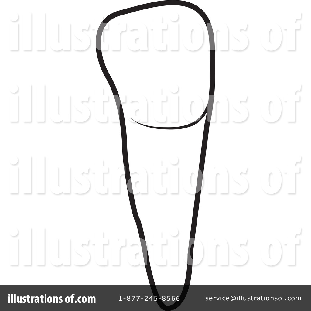 1024x1024 Tooth Clipart